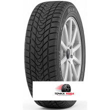 Delinte Winter WD1 165/70R14 81T
