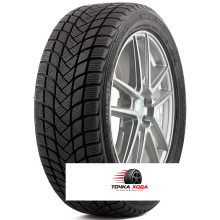 Delinte Winter WD6 185/55R15 82H